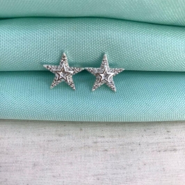 BRINCO ESTRELA DUPLA EM ZIRCÔNIA BANHADO A PRATA