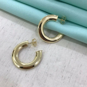 ARGOLA MAXI GOLD BANHADO A OURO